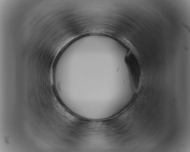 X0000100871036200807111313