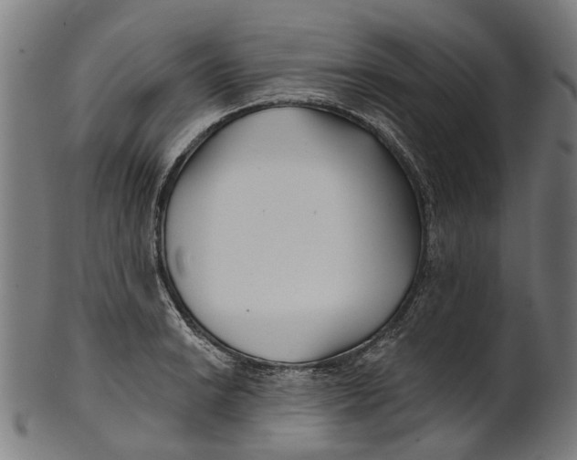 X0000100871038200807111313