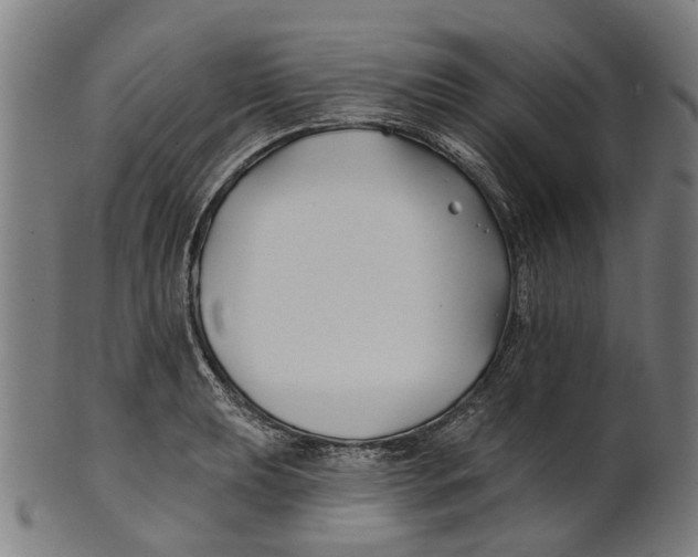 X0000100871039200807111313