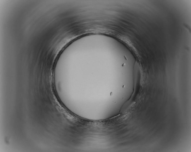 X0000100871040200807111313