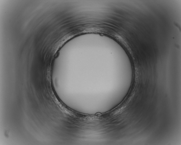 X0000100871041200807111313