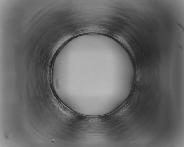 X0000100871043200807111313