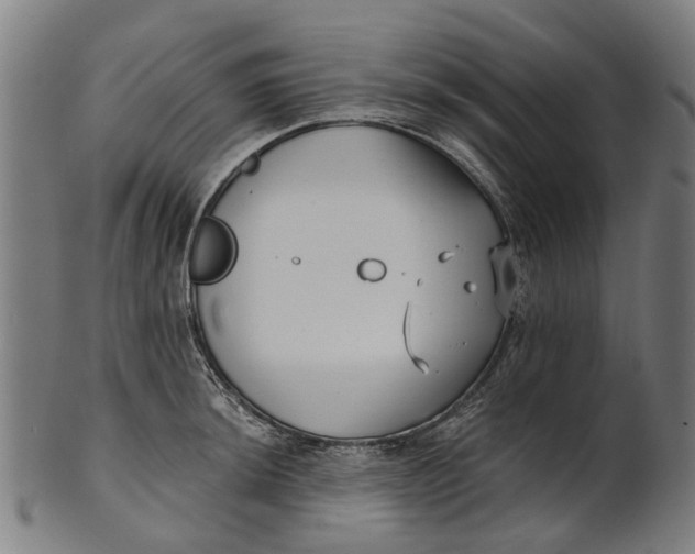 X0000100871044200807111313