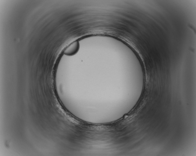 X0000100871045200807111313