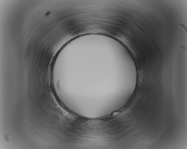 X0000100871046200807111313