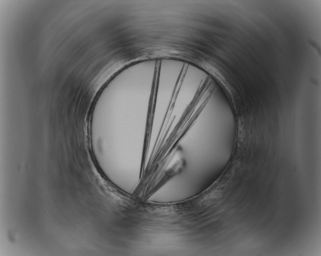 X0000100871047200807111313