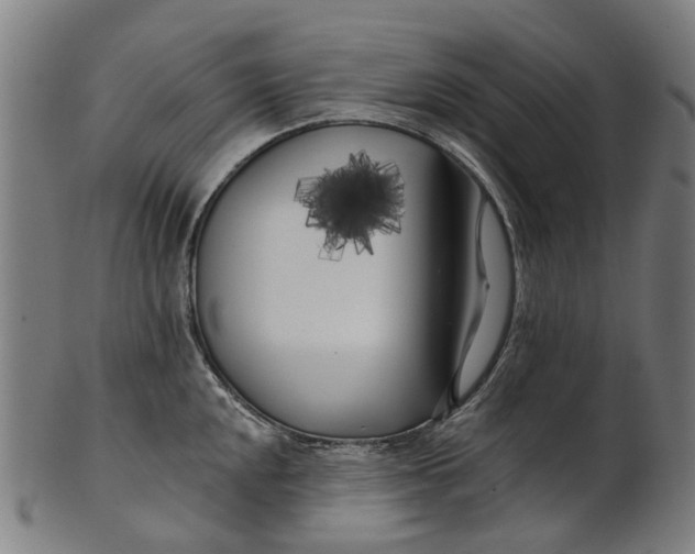 X0000100871048200807111313