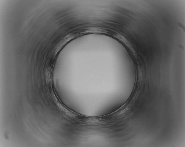 X0000100871049200807111313