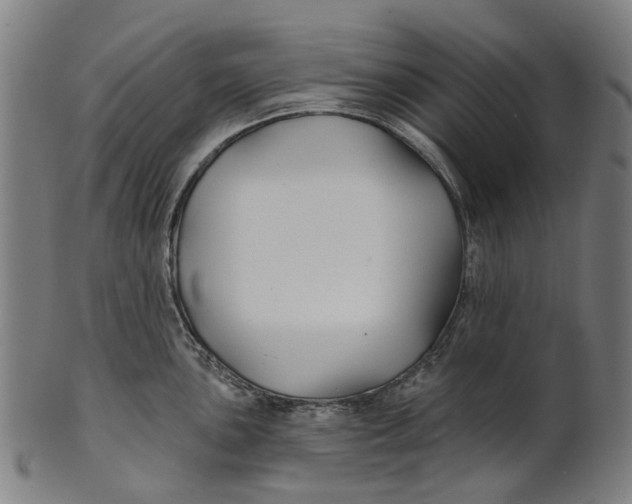 X0000100871051200807111313