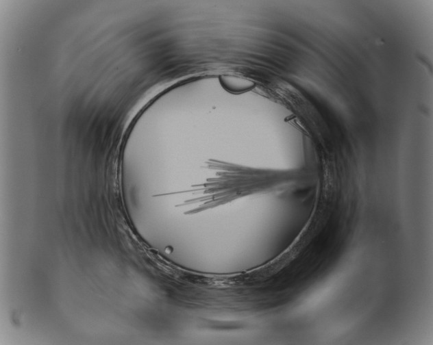 X0000100871052200807111313