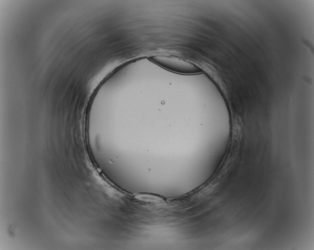 X0000100871054200807111313