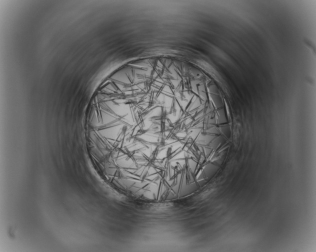 X0000100871055200807111313