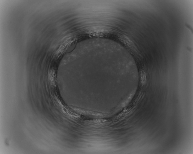 X0000100871060200807111312