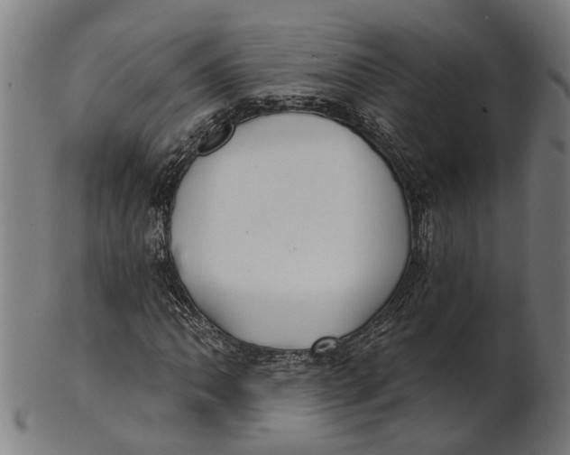 X0000100871062200807111312