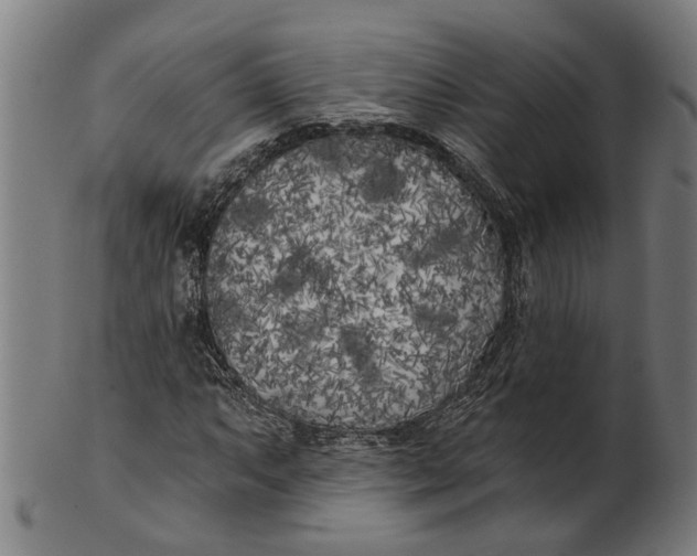 X0000100871063200807111312