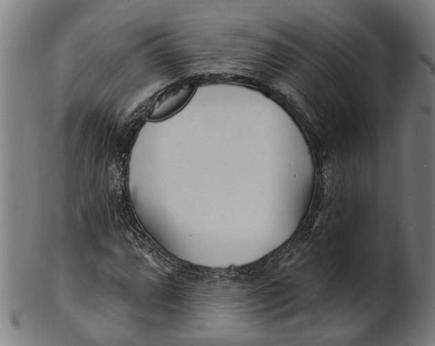 X0000100871064200807111312