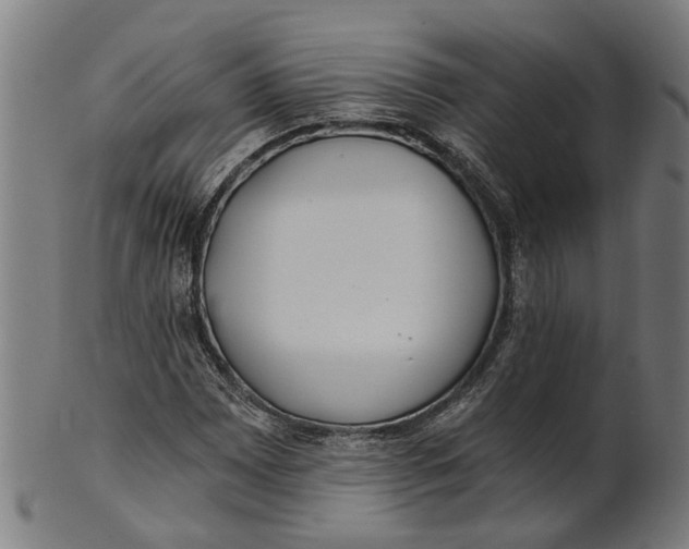 X0000100871065200807111312