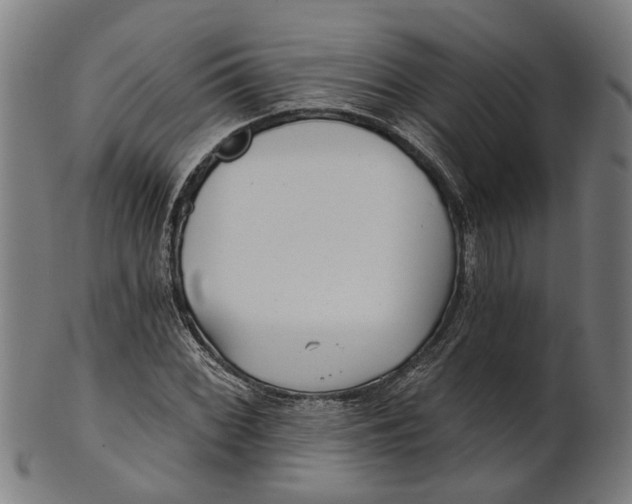 X0000100871068200807111312