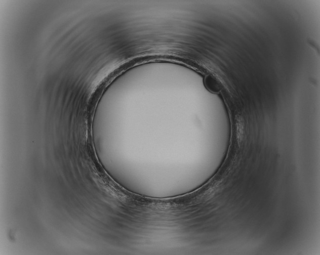 X0000100871069200807111312