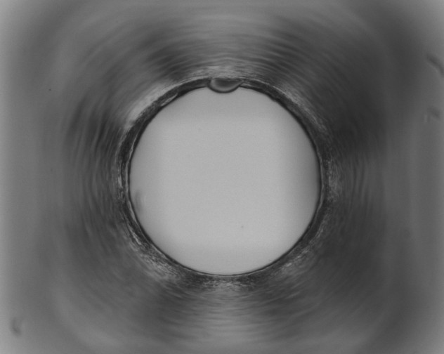 X0000100871070200807111312