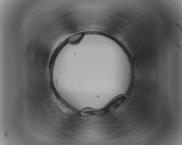 X0000100871072200807111312