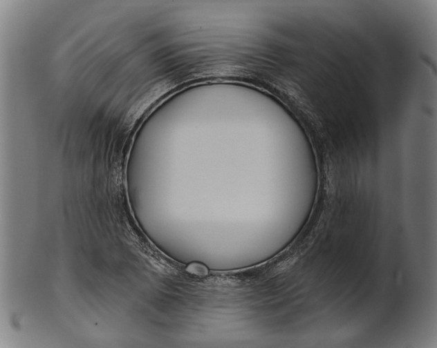 X0000100871073200807111312