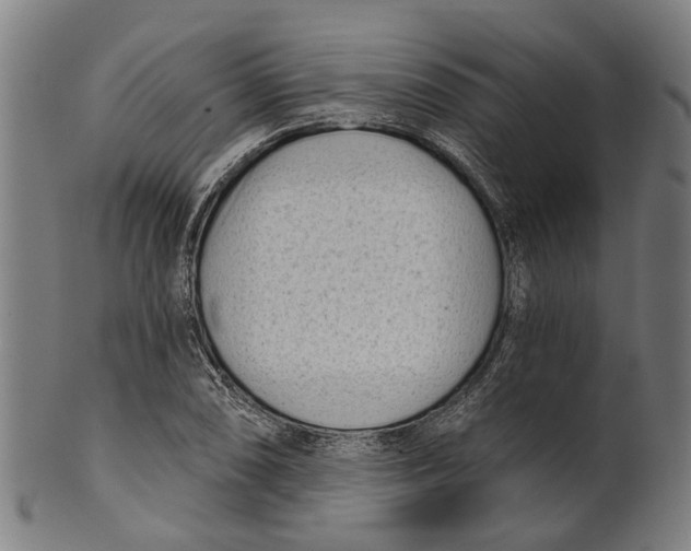 X0000100871074200807111312