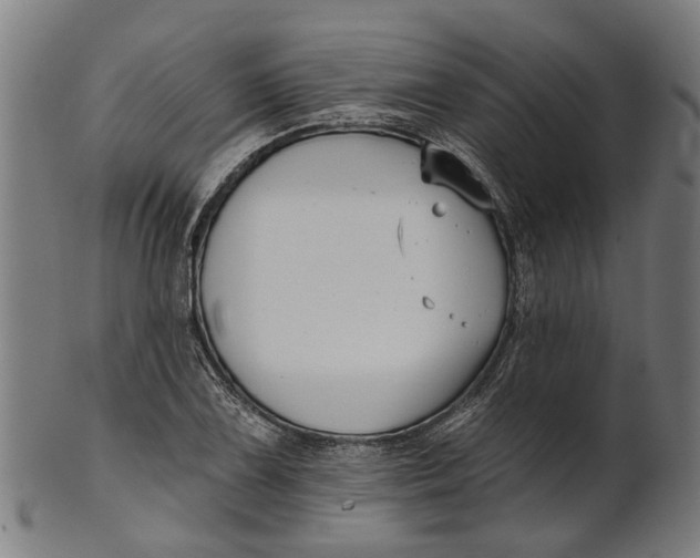 X0000100871075200807111312