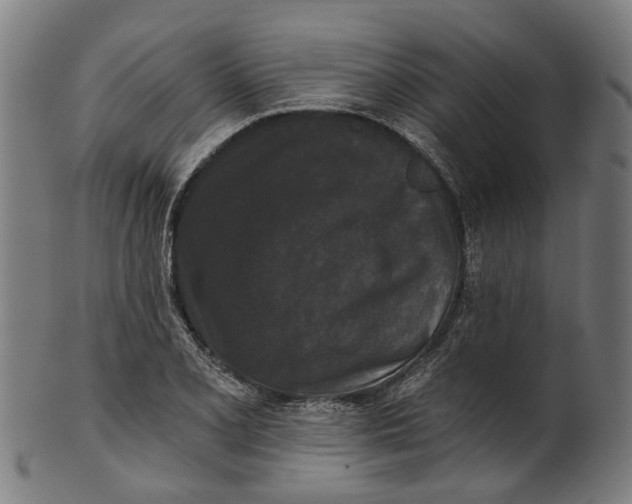 X0000100871077200807111312