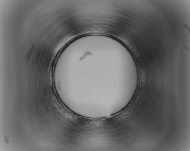 X0000100871078200807111312