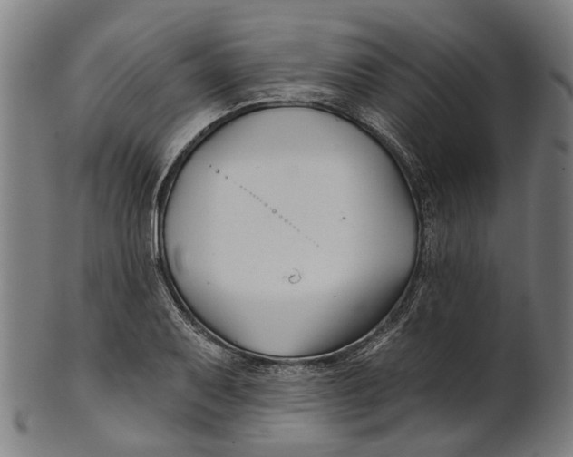 X0000100871079200807111312