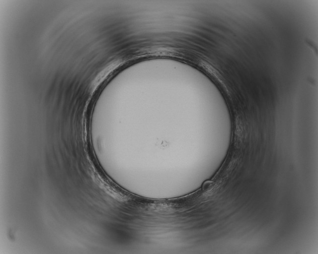 X0000100871082200807111312