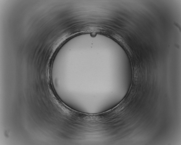 X0000100871083200807111312