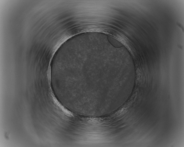 X0000100871084200807111312