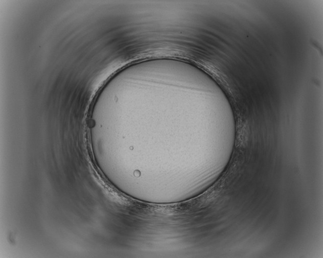 X0000100871086200807111312