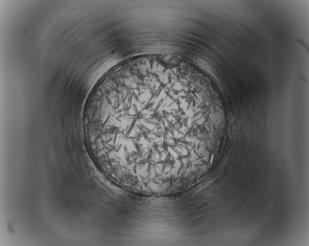 X0000100871087200807111312