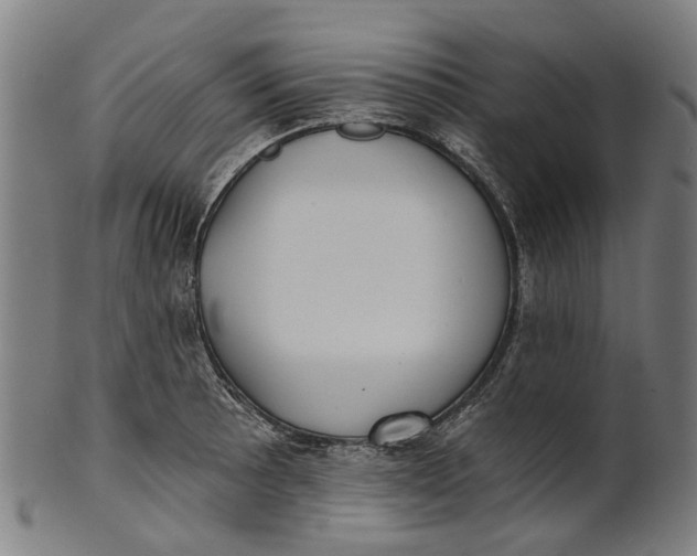 X0000100871089200807111312