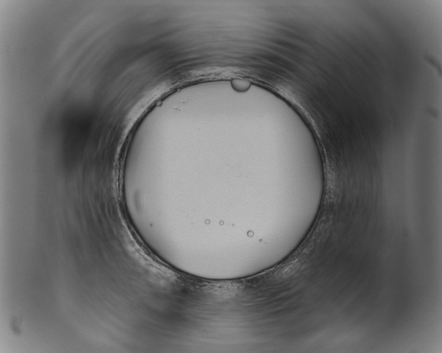 X0000100871090200807111312