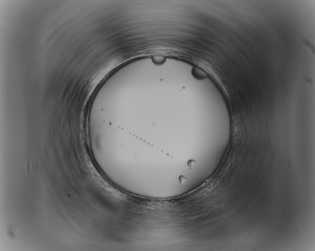 X0000100871091200807111312