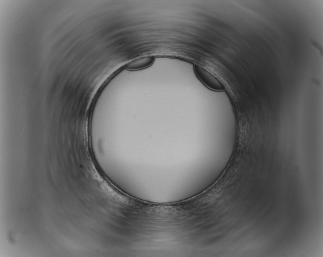 X0000100871092200807111312