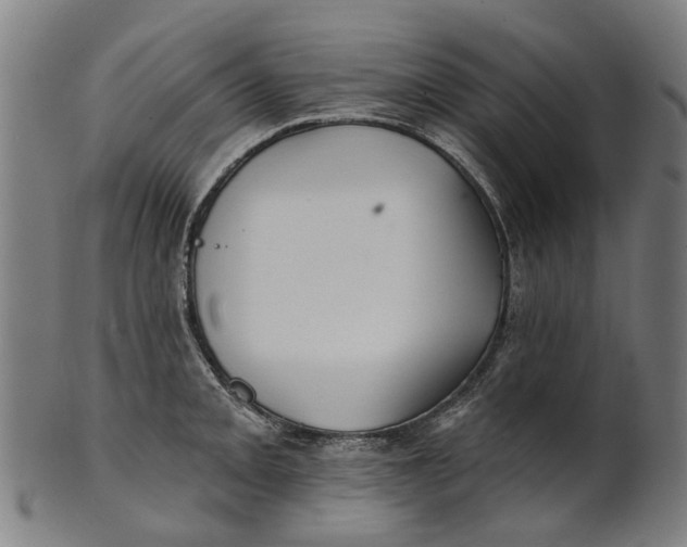 X0000100871093200807111312