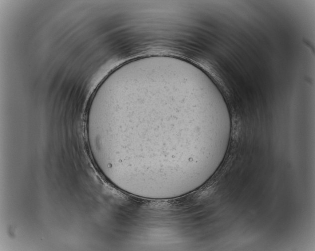 X0000100871094200807111312