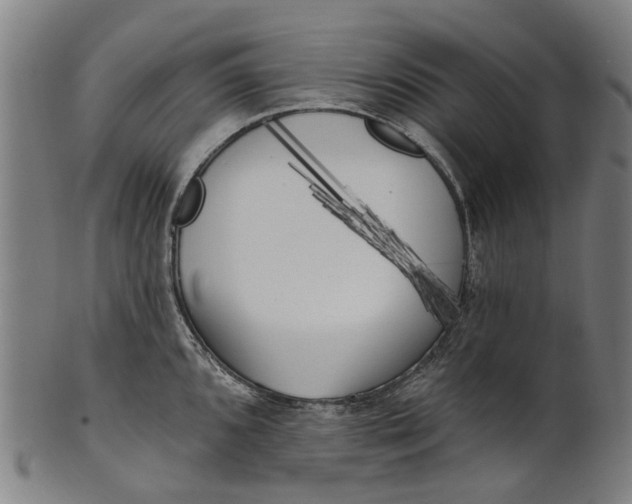 X0000100871096200807111312