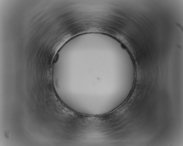 X0000100871097200807111312