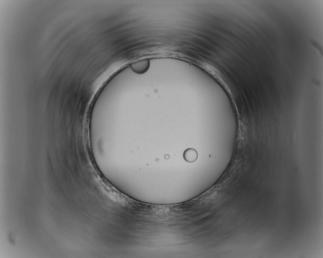 X0000100871098200807111312