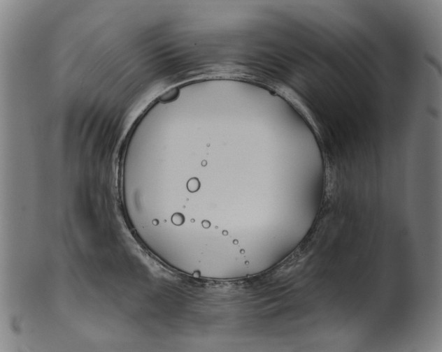 X0000100871099200807111312