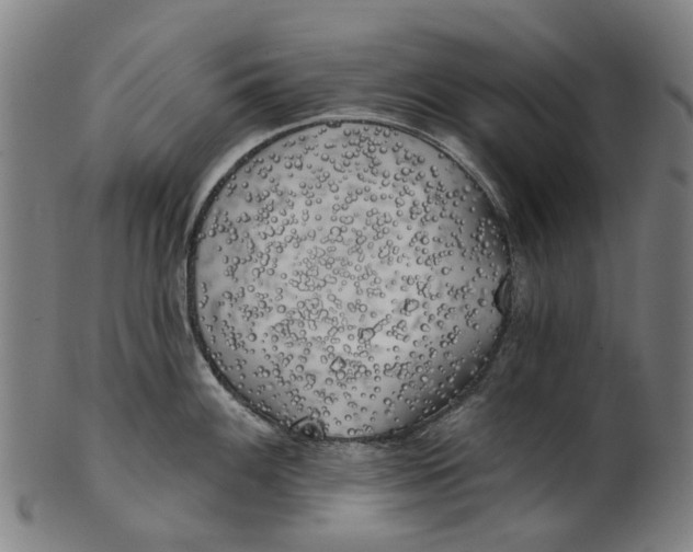 X0000100871100200807111312