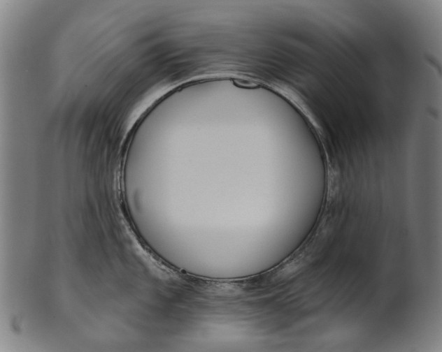 X0000100871101200807111312