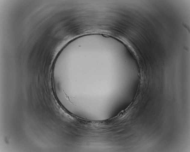 X0000100871102200807111312