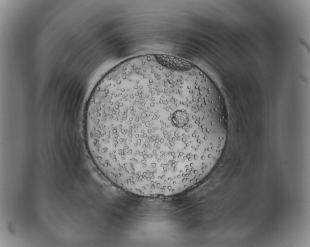 X0000100871104200807111311